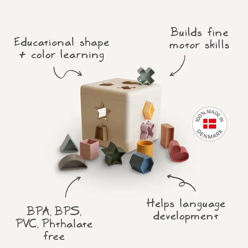 Shape-Sorting-Box.webinfo.webp