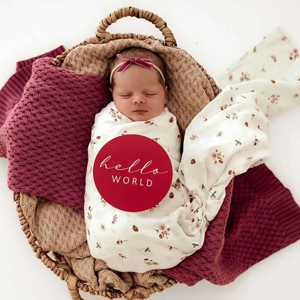 muslin-wraps-ladybug-organic-muslin-wrap-4_1000x@2x.webp